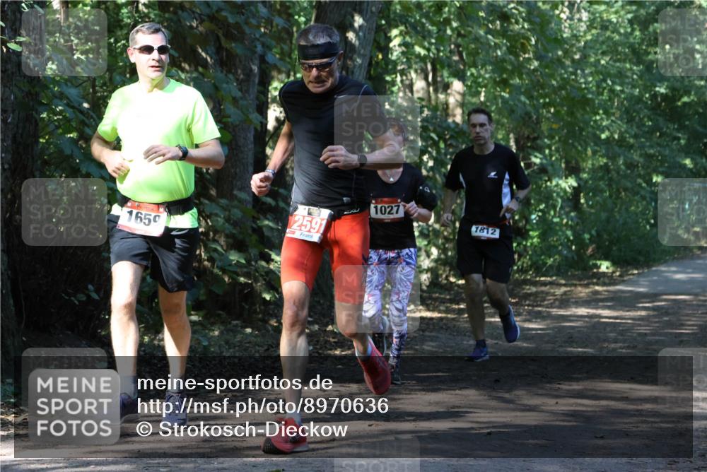 28.09.2025 - 33. Volkslauf durch das schöne Alstertal Strokosch-Dieckow http://msf.ph/oto/8970636 28.09.2025 11:56:16 Laufen 1650, 2591, 1027, 1812 meine-sportfotos.de