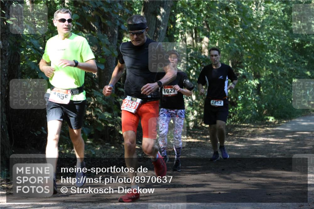 28.09.2025 - 33. Volkslauf durch das schöne Alstertal Strokosch-Dieckow http://msf.ph/oto/8970637 28.09.2025 11:56:16 Laufen 4, 659, 2591, 1027, 1812 meine-sportfotos.de
