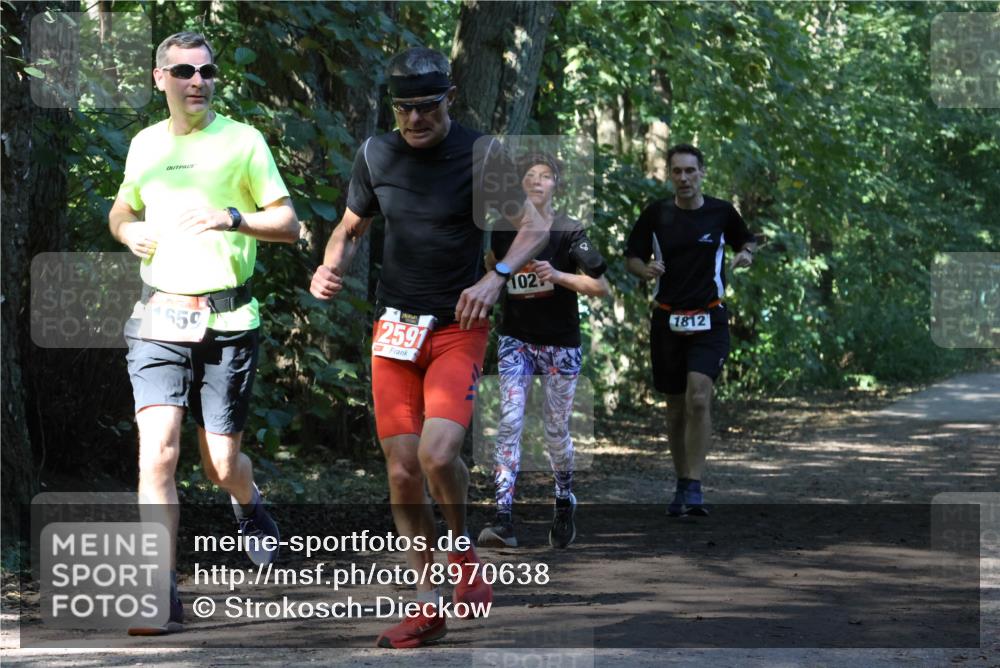 28.09.2025 - 33. Volkslauf durch das schöne Alstertal Strokosch-Dieckow http://msf.ph/oto/8970638 28.09.2025 11:56:16 Laufen 659, 2591, 102, 1812 meine-sportfotos.de