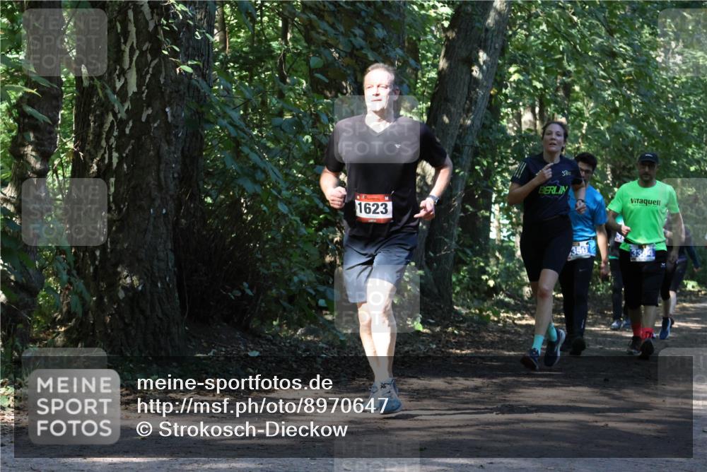 28.09.2025 - 33. Volkslauf durch das schöne Alstertal Strokosch-Dieckow http://msf.ph/oto/8970647 28.09.2025 11:56:41 Laufen 1623, 50, 359 meine-sportfotos.de