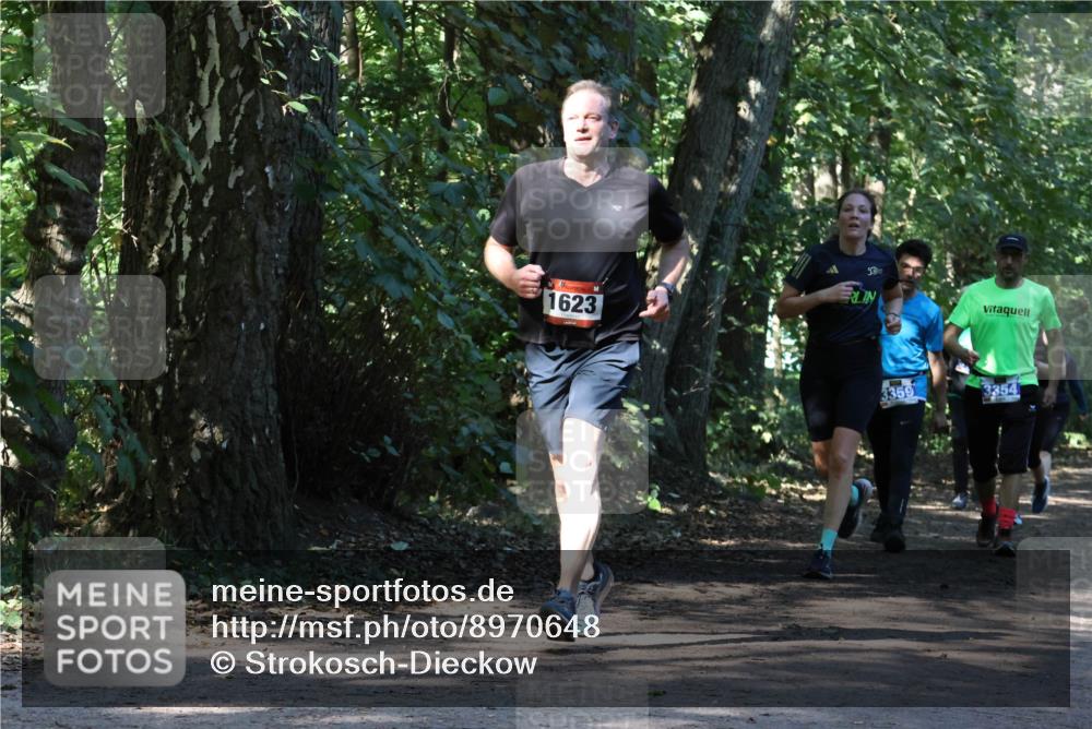 28.09.2025 - 33. Volkslauf durch das schöne Alstertal Strokosch-Dieckow http://msf.ph/oto/8970648 28.09.2025 11:56:41 Laufen 1623, 50, 3359, 3354 meine-sportfotos.de