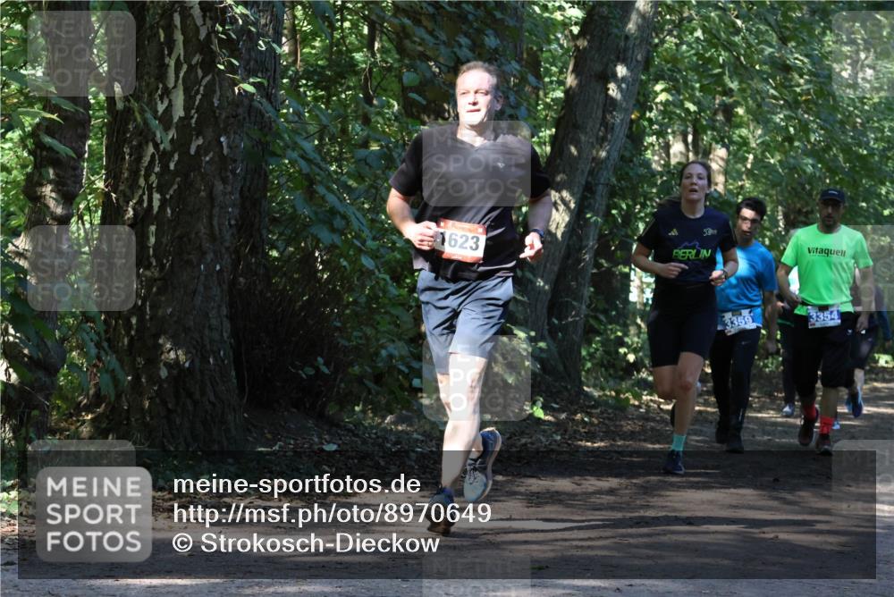 28.09.2025 - 33. Volkslauf durch das schöne Alstertal Strokosch-Dieckow http://msf.ph/oto/8970649 28.09.2025 11:56:41 Laufen 50, 1623, 3359, 3354 meine-sportfotos.de