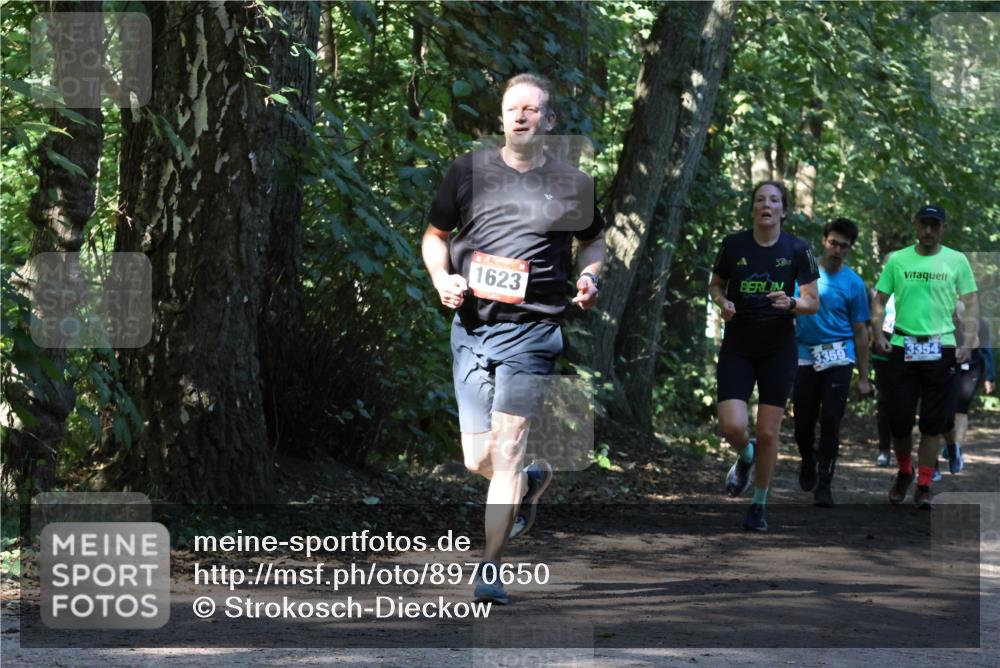 28.09.2025 - 33. Volkslauf durch das schöne Alstertal Strokosch-Dieckow http://msf.ph/oto/8970650 28.09.2025 11:56:41 Laufen 50, 1623, 3359, 3354 meine-sportfotos.de
