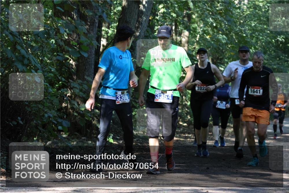 28.09.2025 - 33. Volkslauf durch das schöne Alstertal Strokosch-Dieckow http://msf.ph/oto/8970654 28.09.2025 11:56:44 Laufen 1922, 3359, 3354, 102, 3360, 20, 1641 meine-sportfotos.de