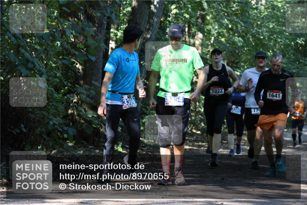 28.09.2025 - 33. Volkslauf durch das schöne Alstertal Strokosch-Dieckow http://msf.ph/oto/8970655 28.09.2025 11:56:44 Laufen 1922, 3359, 3354, 1022, 3360, 170, 1641 meine-sportfotos.de