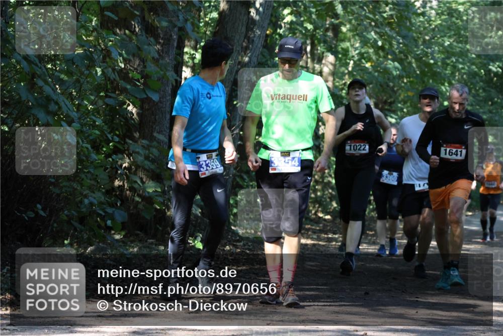 28.09.2025 - 33. Volkslauf durch das schöne Alstertal Strokosch-Dieckow http://msf.ph/oto/8970656 28.09.2025 11:56:44 Laufen 1922, 3359, 3354, 1022, 3360, 1641 meine-sportfotos.de