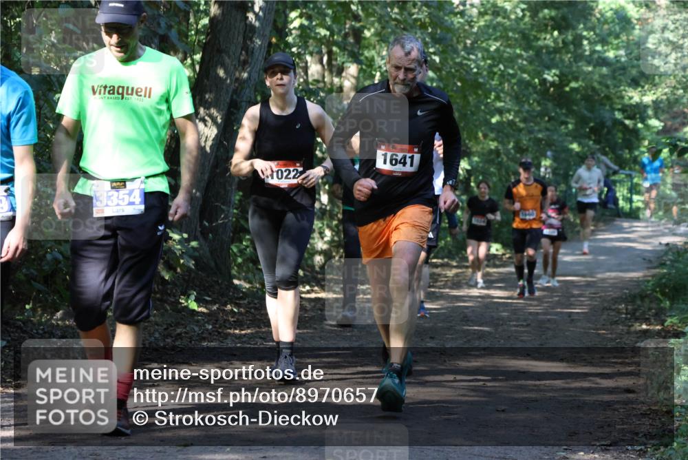 28.09.2025 - 33. Volkslauf durch das schöne Alstertal Strokosch-Dieckow http://msf.ph/oto/8970657 28.09.2025 11:56:47 Laufen 1922, 3354, 022, 1641 meine-sportfotos.de