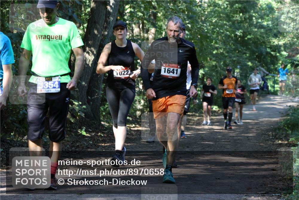 28.09.2025 - 33. Volkslauf durch das schöne Alstertal Strokosch-Dieckow http://msf.ph/oto/8970658 28.09.2025 11:56:47 Laufen 3354, 022, 1641 meine-sportfotos.de