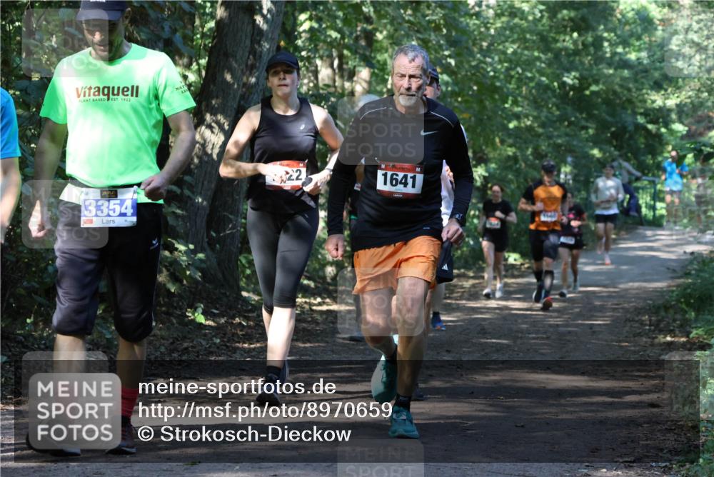 28.09.2025 - 33. Volkslauf durch das schöne Alstertal Strokosch-Dieckow http://msf.ph/oto/8970659 28.09.2025 11:56:47 Laufen 1922, 3354, 22, 1641 meine-sportfotos.de