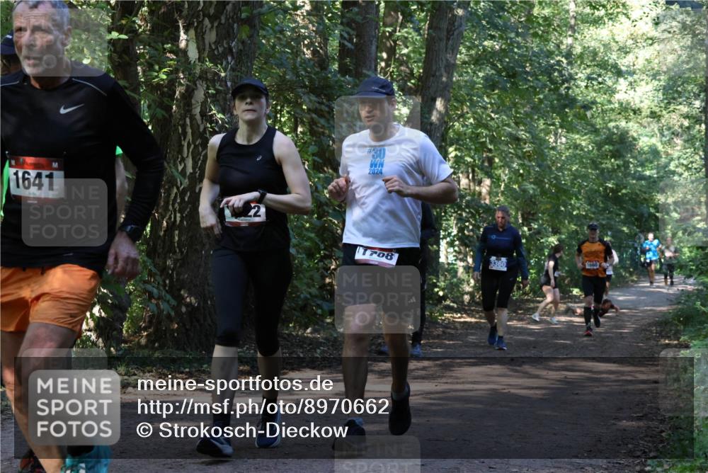 28.09.2025 - 33. Volkslauf durch das schöne Alstertal Strokosch-Dieckow http://msf.ph/oto/8970662 28.09.2025 11:56:49 Laufen 1641, 2, 30, 2024, 708, 1660, 3360 meine-sportfotos.de