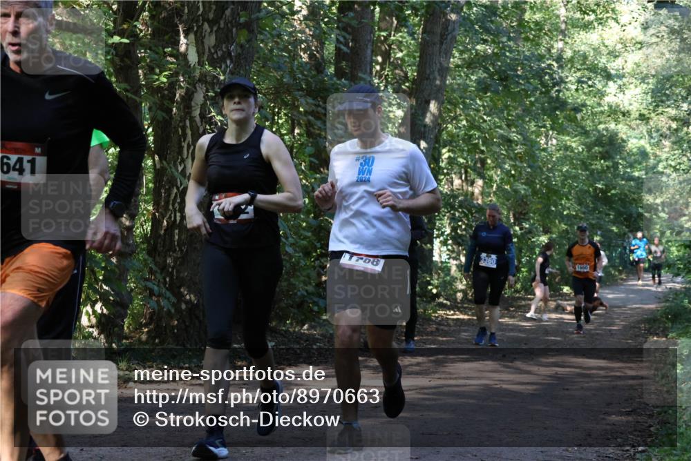 28.09.2025 - 33. Volkslauf durch das schöne Alstertal Strokosch-Dieckow http://msf.ph/oto/8970663 28.09.2025 11:56:49 Laufen 641, 30, 2024, 708, 3360, 1660 meine-sportfotos.de