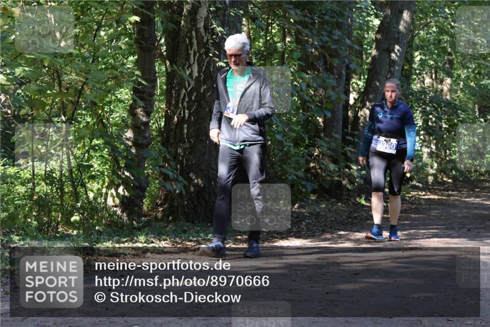 28.09.2025 - 33. Volkslauf durch das schöne Alstertal Strokosch-Dieckow http://msf.ph/oto/8970666 28.09.2025 11:56:52 Laufen 3360 meine-sportfotos.de