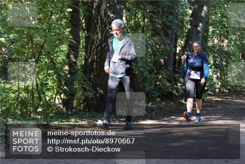 28.09.2025 - 33. Volkslauf durch das schöne Alstertal Strokosch-Dieckow http://msf.ph/oto/8970667 28.09.2025 11:56:52 Laufen 3360 meine-sportfotos.de