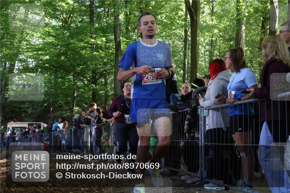 28.09.2025 - 33. Volkslauf durch das schöne Alstertal Strokosch-Dieckow http://msf.ph/oto/8970669 28.09.2025 11:51:56 Ziel 2651, 3137 meine-sportfotos.de