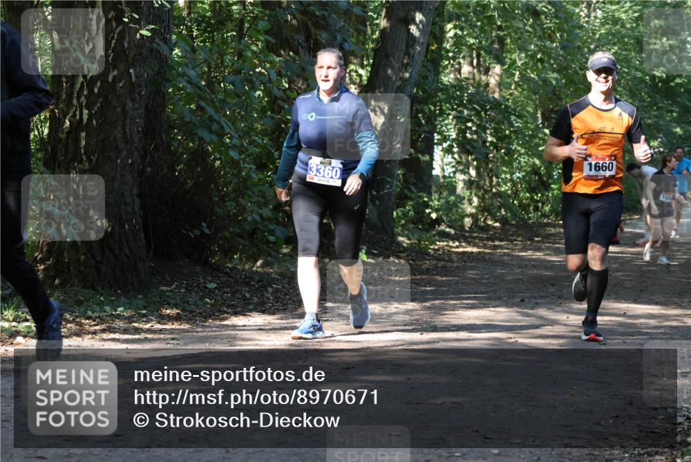 28.09.2025 - 33. Volkslauf durch das schöne Alstertal Strokosch-Dieckow http://msf.ph/oto/8970671 28.09.2025 11:56:53 Laufen 3360, 1660, 1024 meine-sportfotos.de