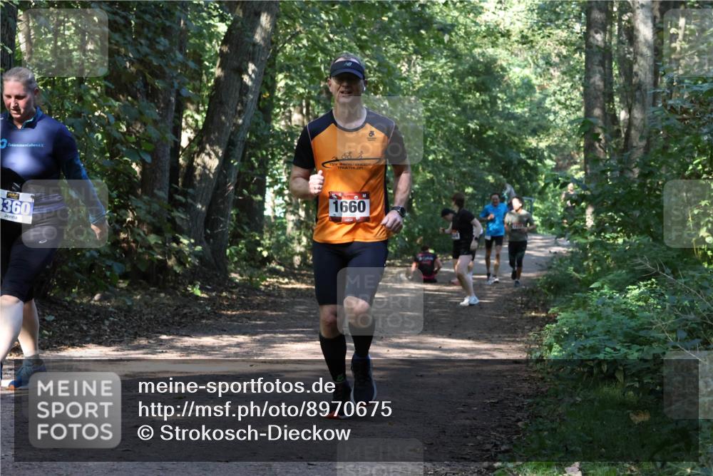 28.09.2025 - 33. Volkslauf durch das schöne Alstertal Strokosch-Dieckow http://msf.ph/oto/8970675 28.09.2025 11:56:55 Laufen 3360, 1660 meine-sportfotos.de
