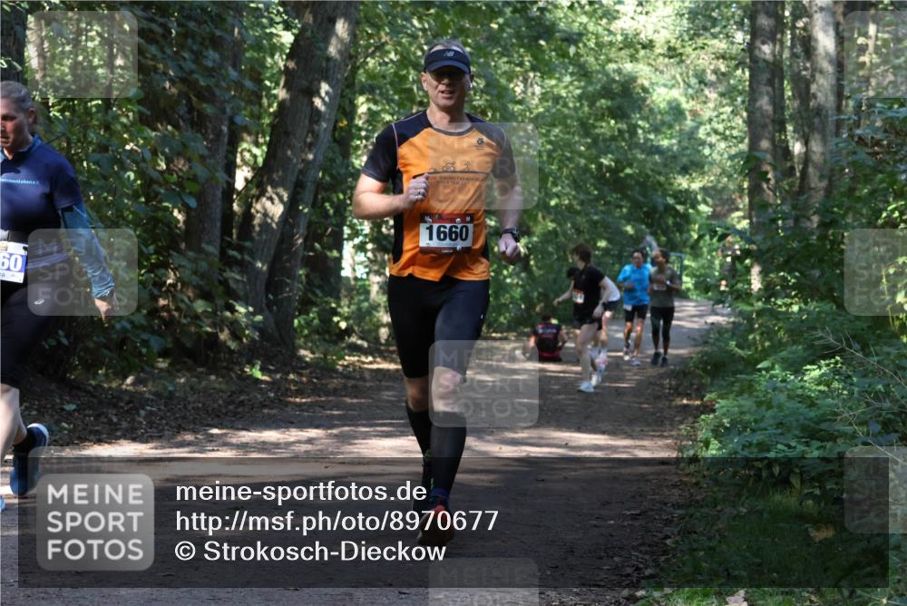 28.09.2025 - 33. Volkslauf durch das schöne Alstertal Strokosch-Dieckow http://msf.ph/oto/8970677 28.09.2025 11:56:55 Laufen 60, 1660 meine-sportfotos.de