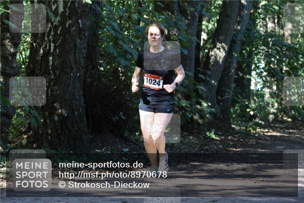 28.09.2025 - 33. Volkslauf durch das schöne Alstertal Strokosch-Dieckow http://msf.ph/oto/8970678 28.09.2025 11:57:01 Laufen 1024 meine-sportfotos.de
