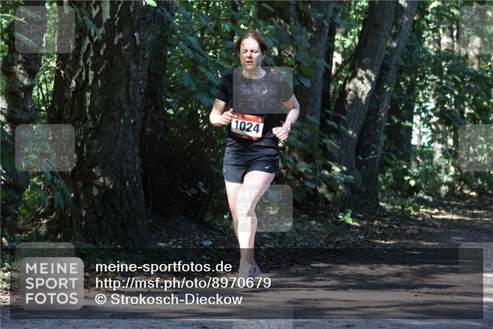 28.09.2025 - 33. Volkslauf durch das schöne Alstertal Strokosch-Dieckow http://msf.ph/oto/8970679 28.09.2025 11:57:01 Laufen 1024 meine-sportfotos.de