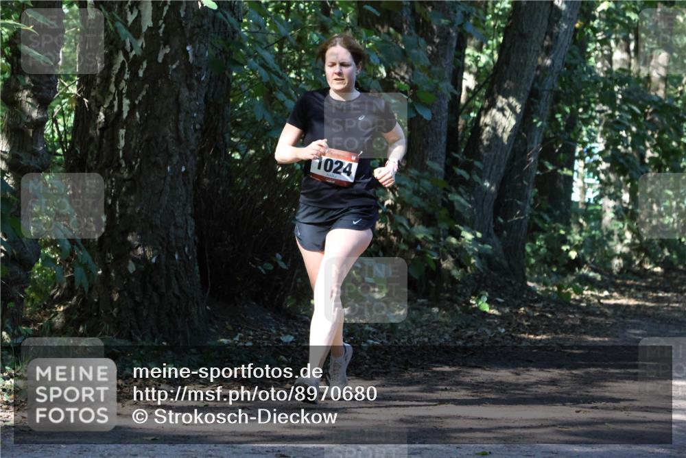 28.09.2025 - 33. Volkslauf durch das schöne Alstertal Strokosch-Dieckow http://msf.ph/oto/8970680 28.09.2025 11:57:01 Laufen 1024 meine-sportfotos.de
