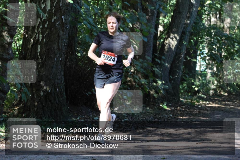 28.09.2025 - 33. Volkslauf durch das schöne Alstertal Strokosch-Dieckow http://msf.ph/oto/8970681 28.09.2025 11:57:01 Laufen 1024 meine-sportfotos.de