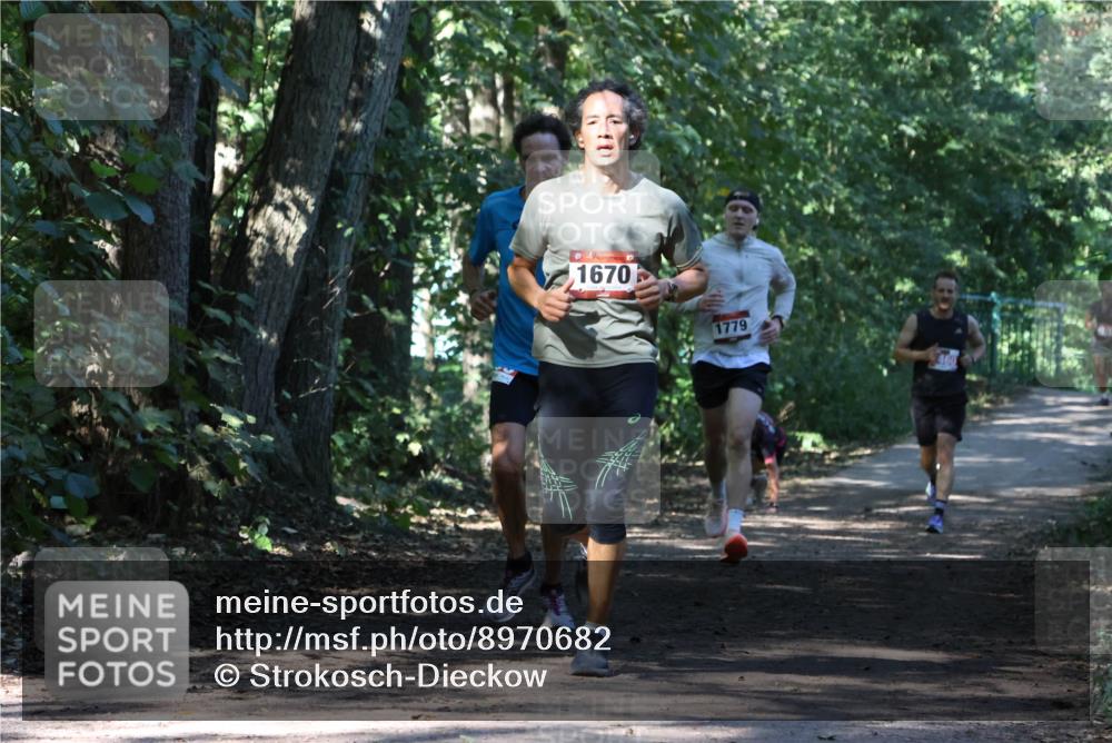 28.09.2025 - 33. Volkslauf durch das schöne Alstertal Strokosch-Dieckow http://msf.ph/oto/8970682 28.09.2025 11:57:03 Laufen 1670, 1779, 460 meine-sportfotos.de