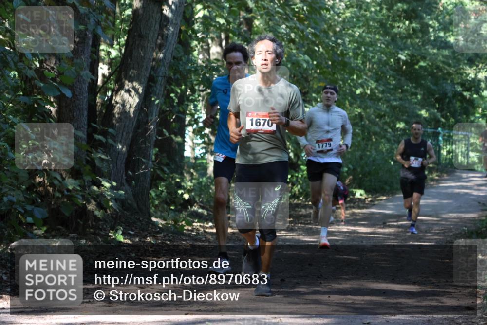 28.09.2025 - 33. Volkslauf durch das schöne Alstertal Strokosch-Dieckow http://msf.ph/oto/8970683 28.09.2025 11:57:03 Laufen 1670, 1779 meine-sportfotos.de