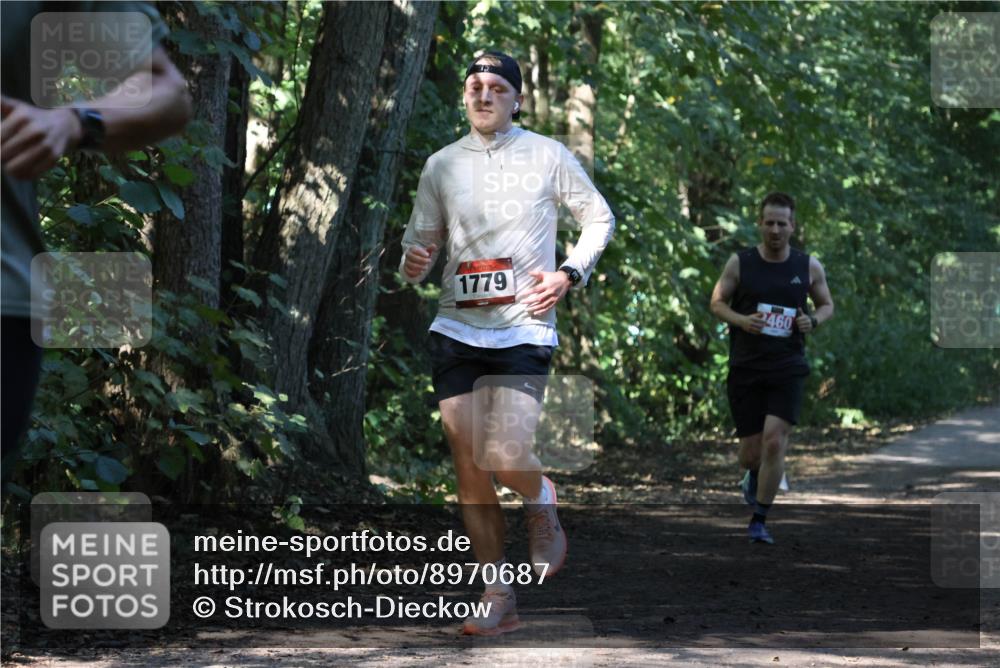 28.09.2025 - 33. Volkslauf durch das schöne Alstertal Strokosch-Dieckow http://msf.ph/oto/8970687 28.09.2025 11:57:06 Laufen 1779, 460 meine-sportfotos.de