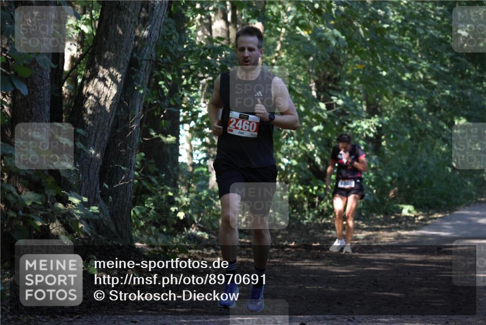 28.09.2025 - 33. Volkslauf durch das schöne Alstertal Strokosch-Dieckow http://msf.ph/oto/8970691 28.09.2025 11:57:08 Laufen 2460 meine-sportfotos.de