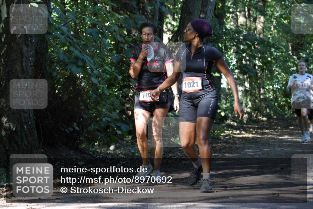 28.09.2025 - 33. Volkslauf durch das schöne Alstertal Strokosch-Dieckow http://msf.ph/oto/8970692 28.09.2025 11:57:28 Laufen 10, 1021 meine-sportfotos.de
