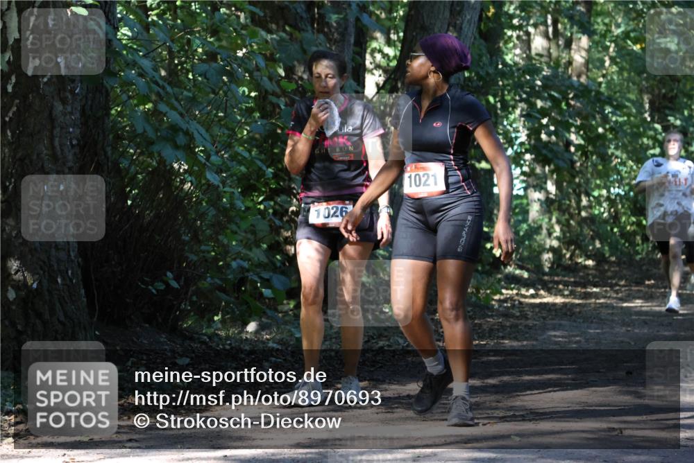 28.09.2025 - 33. Volkslauf durch das schöne Alstertal Strokosch-Dieckow http://msf.ph/oto/8970693 28.09.2025 11:57:28 Laufen 1026, 1021 meine-sportfotos.de