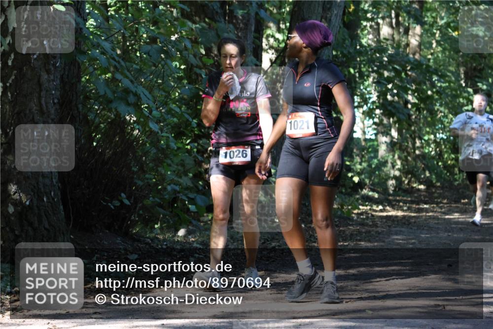 28.09.2025 - 33. Volkslauf durch das schöne Alstertal Strokosch-Dieckow http://msf.ph/oto/8970694 28.09.2025 11:57:29 Laufen 1026, 1021 meine-sportfotos.de