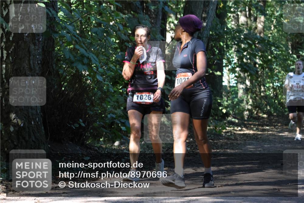 28.09.2025 - 33. Volkslauf durch das schöne Alstertal Strokosch-Dieckow http://msf.ph/oto/8970696 28.09.2025 11:57:29 Laufen 1026, 102, 2515 meine-sportfotos.de