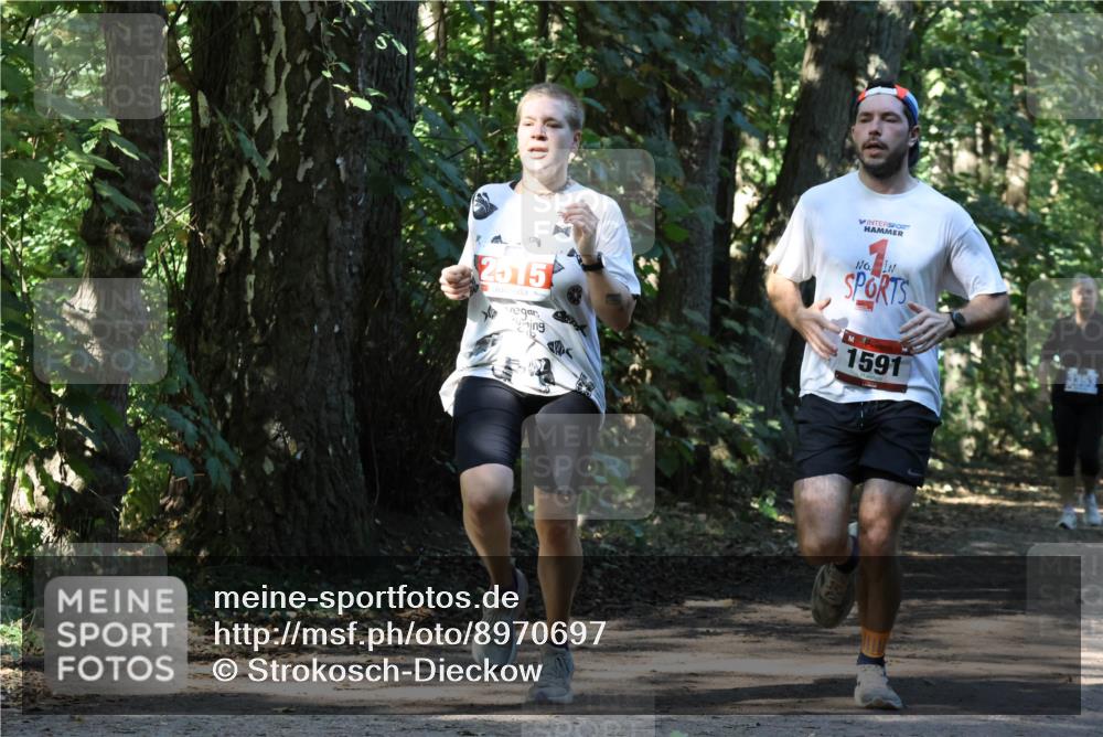 28.09.2025 - 33. Volkslauf durch das schöne Alstertal Strokosch-Dieckow http://msf.ph/oto/8970697 28.09.2025 11:57:34 Laufen 2515, 1591 meine-sportfotos.de
