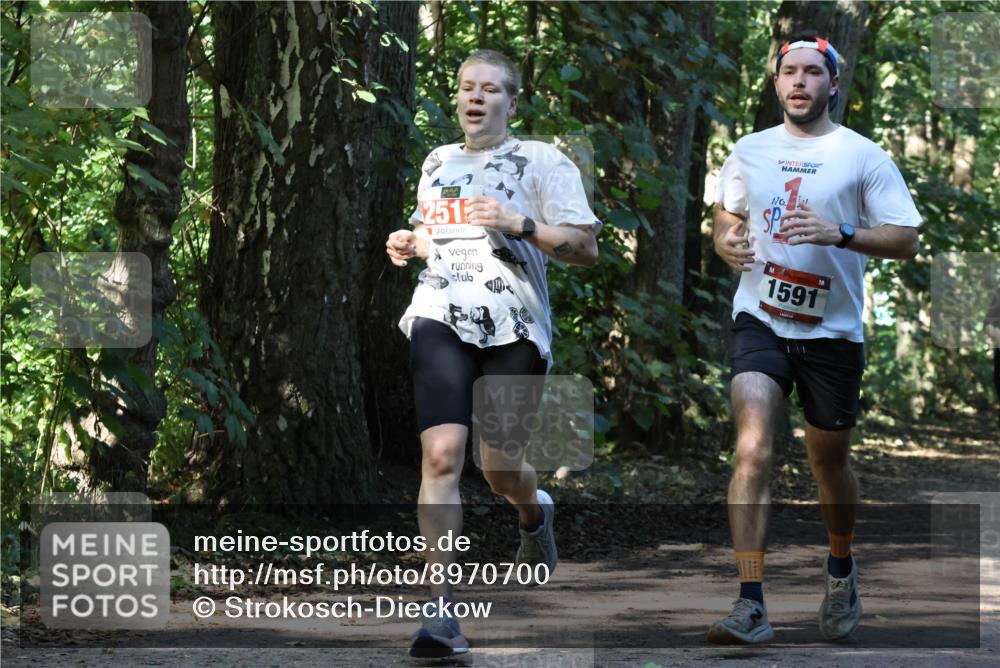 28.09.2025 - 33. Volkslauf durch das schöne Alstertal Strokosch-Dieckow http://msf.ph/oto/8970700 28.09.2025 11:57:34 Laufen 251, 1591 meine-sportfotos.de