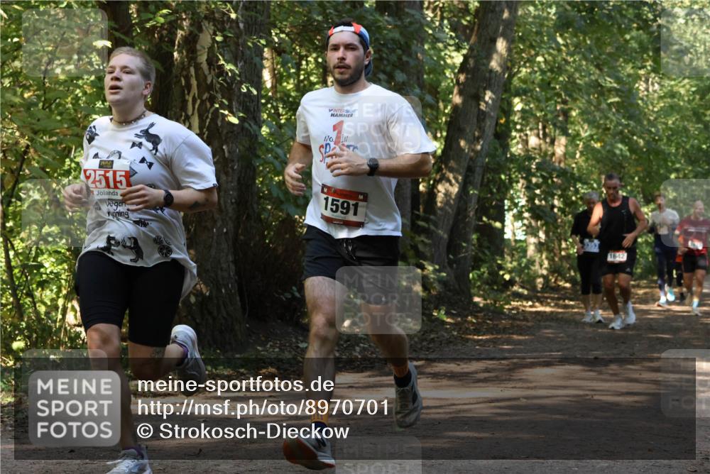 28.09.2025 - 33. Volkslauf durch das schöne Alstertal Strokosch-Dieckow http://msf.ph/oto/8970701 28.09.2025 11:57:34 Laufen 2515, 1591, 1642 meine-sportfotos.de