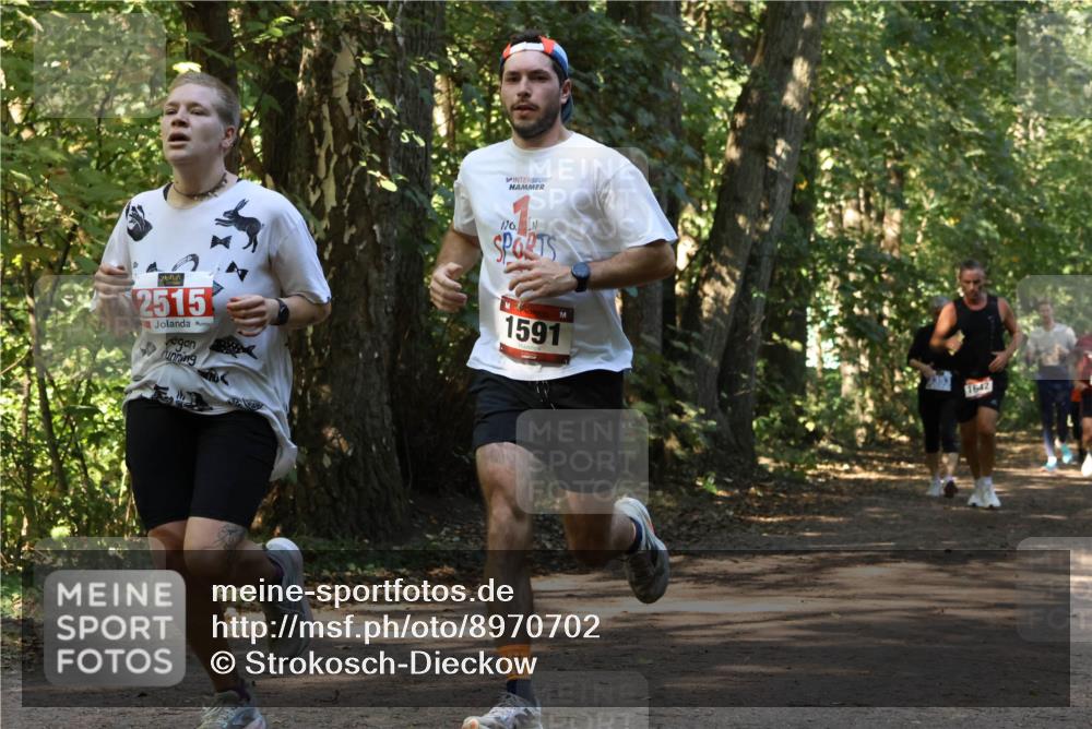 28.09.2025 - 33. Volkslauf durch das schöne Alstertal Strokosch-Dieckow http://msf.ph/oto/8970702 28.09.2025 11:57:35 Laufen 2515, 1591 meine-sportfotos.de