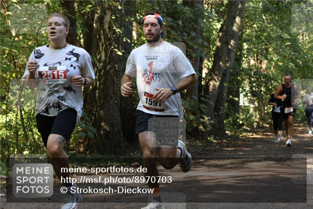 28.09.2025 - 33. Volkslauf durch das schöne Alstertal Strokosch-Dieckow http://msf.ph/oto/8970703 28.09.2025 11:57:35 Laufen 2515, 1597, 1642 meine-sportfotos.de