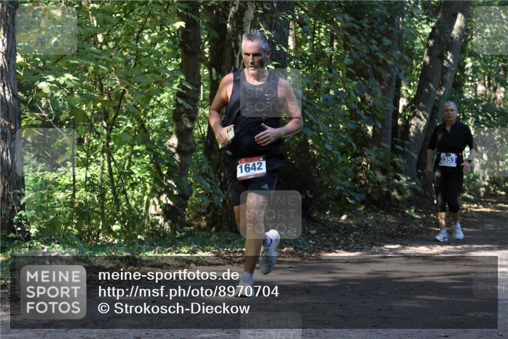 28.09.2025 - 33. Volkslauf durch das schöne Alstertal Strokosch-Dieckow http://msf.ph/oto/8970704 28.09.2025 11:57:39 Laufen 1642, 3353 meine-sportfotos.de