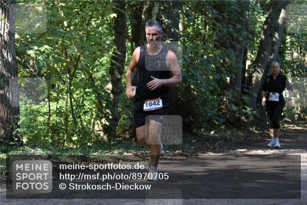28.09.2025 - 33. Volkslauf durch das schöne Alstertal Strokosch-Dieckow http://msf.ph/oto/8970705 28.09.2025 11:57:39 Laufen 1642, 3353 meine-sportfotos.de