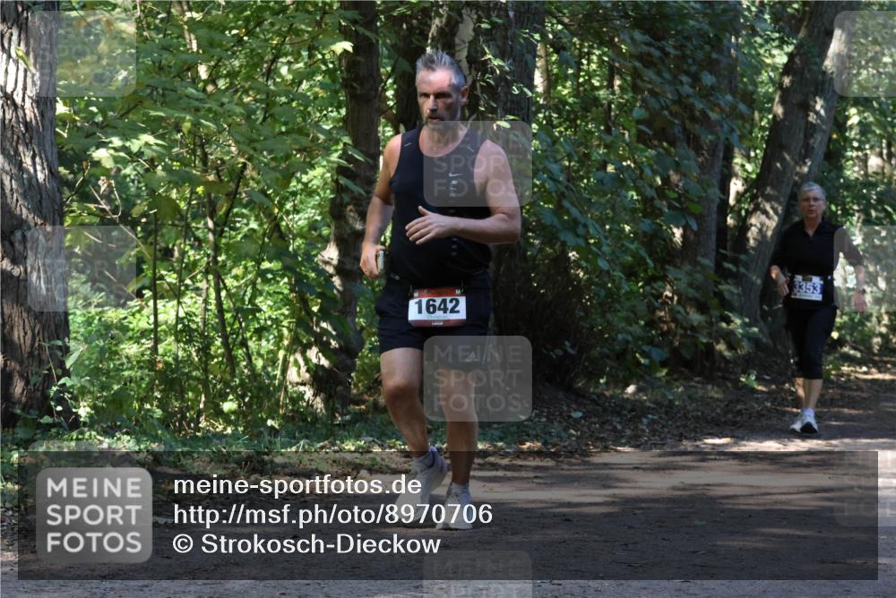 28.09.2025 - 33. Volkslauf durch das schöne Alstertal Strokosch-Dieckow http://msf.ph/oto/8970706 28.09.2025 11:57:39 Laufen 1642, 3353 meine-sportfotos.de