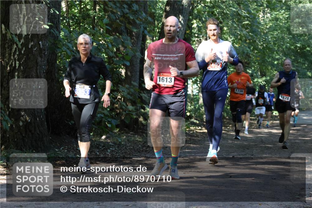 28.09.2025 - 33. Volkslauf durch das schöne Alstertal Strokosch-Dieckow http://msf.ph/oto/8970710 28.09.2025 11:57:42 Laufen 2402, 353, 1613, 1828, 1726 meine-sportfotos.de