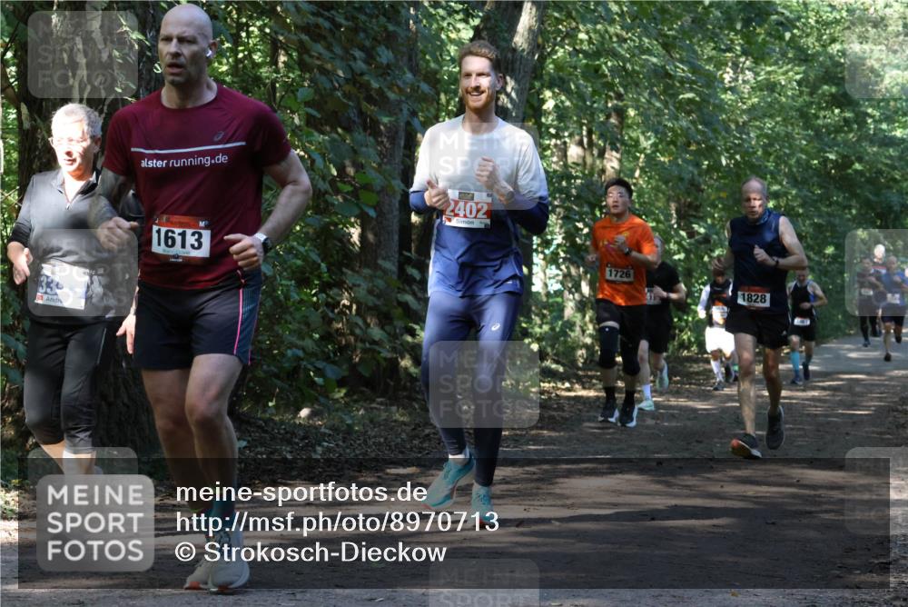28.09.2025 - 33. Volkslauf durch das schöne Alstertal Strokosch-Dieckow http://msf.ph/oto/8970713 28.09.2025 11:57:43 Laufen 33, 2402, 1613, 1726, 1828 meine-sportfotos.de