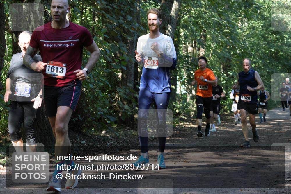 28.09.2025 - 33. Volkslauf durch das schöne Alstertal Strokosch-Dieckow http://msf.ph/oto/8970714 28.09.2025 11:57:43 Laufen 3353, 2402, 1613, 1726, 1828 meine-sportfotos.de