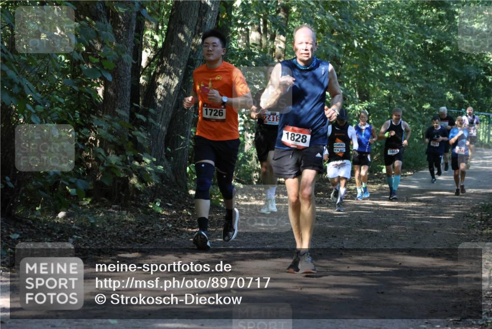28.09.2025 - 33. Volkslauf durch das schöne Alstertal Strokosch-Dieckow http://msf.ph/oto/8970717 28.09.2025 11:57:44 Laufen 1726, 2419, 1828, 1661, 1661 meine-sportfotos.de