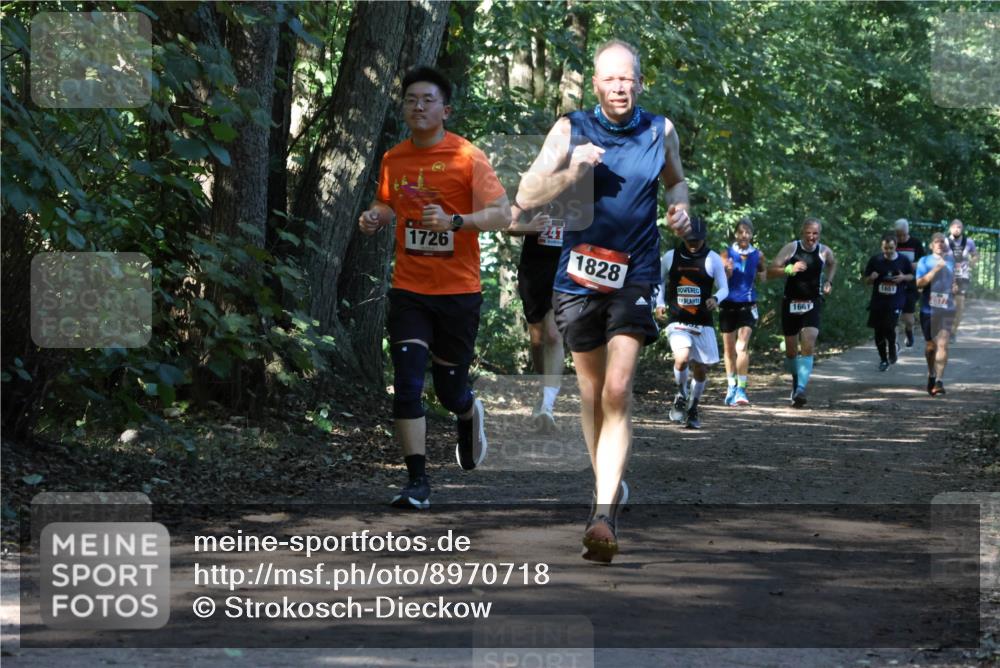 28.09.2025 - 33. Volkslauf durch das schöne Alstertal Strokosch-Dieckow http://msf.ph/oto/8970718 28.09.2025 11:57:44 Laufen 1726, 241, 1828, 1661, 1651 meine-sportfotos.de
