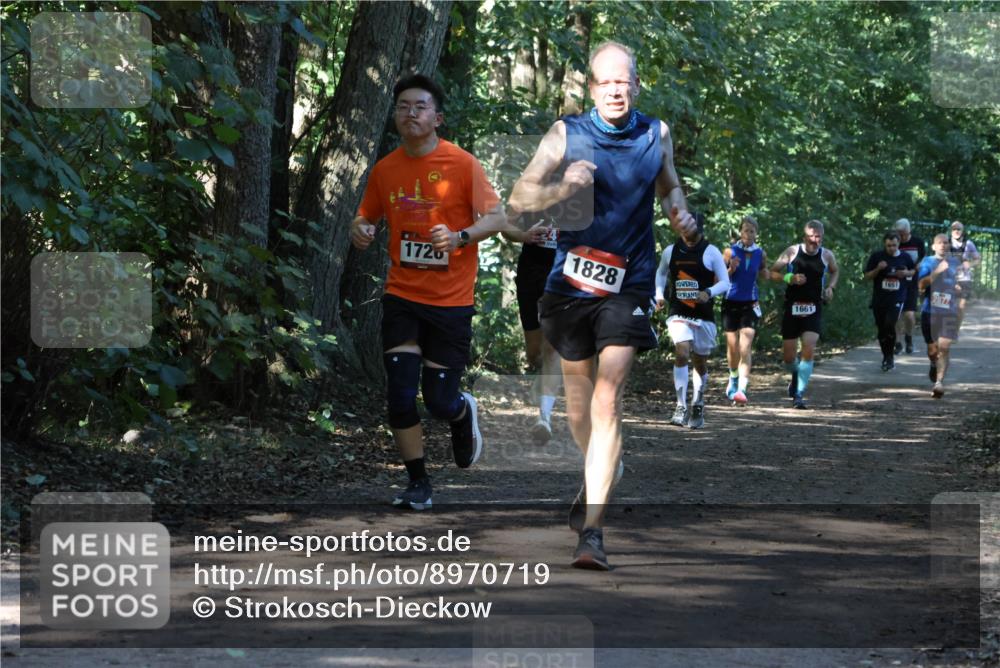 28.09.2025 - 33. Volkslauf durch das schöne Alstertal Strokosch-Dieckow http://msf.ph/oto/8970719 28.09.2025 11:57:44 Laufen 1828, 1726, 1661, 1651 meine-sportfotos.de