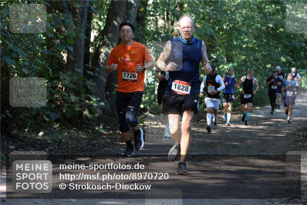 28.09.2025 - 33. Volkslauf durch das schöne Alstertal Strokosch-Dieckow http://msf.ph/oto/8970720 28.09.2025 11:57:44 Laufen 1726, 1828, 1661 meine-sportfotos.de