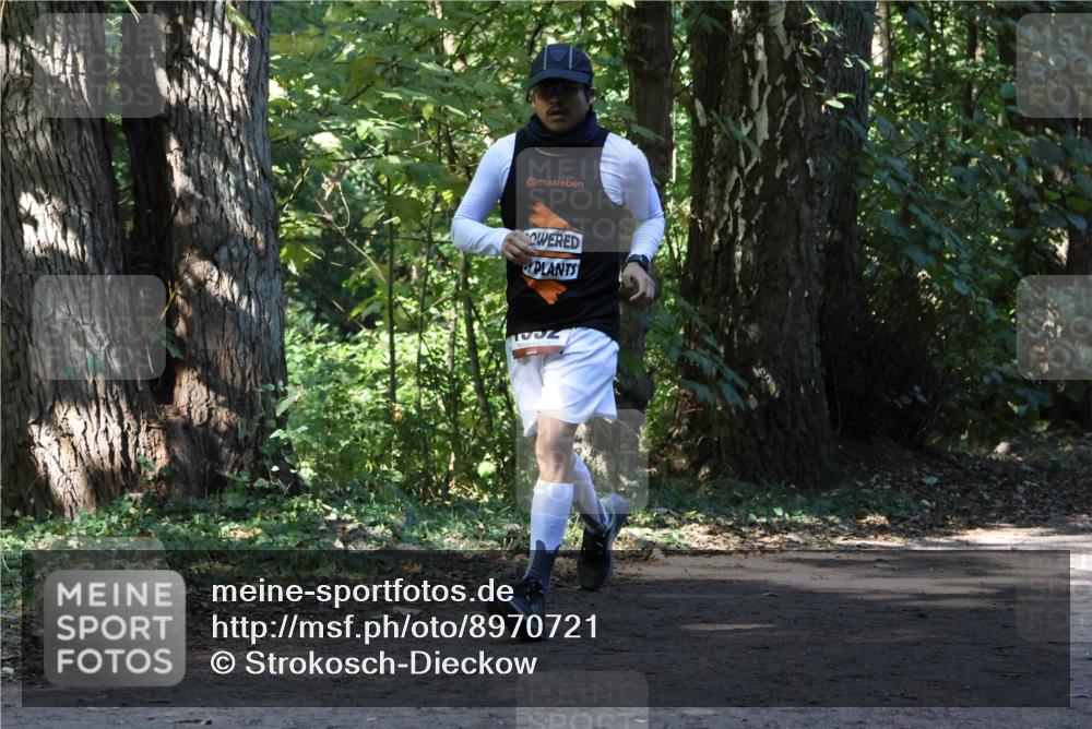 28.09.2025 - 33. Volkslauf durch das schöne Alstertal Strokosch-Dieckow http://msf.ph/oto/8970721 28.09.2025 11:57:51 Laufen 1032 meine-sportfotos.de