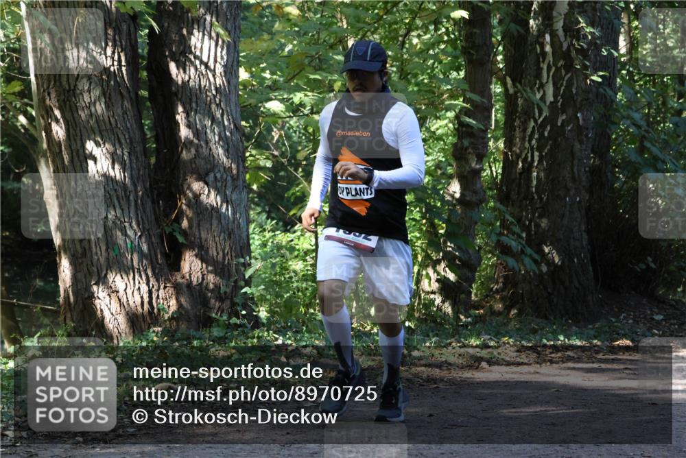 28.09.2025 - 33. Volkslauf durch das schöne Alstertal Strokosch-Dieckow http://msf.ph/oto/8970725 28.09.2025 11:57:52 Laufen  meine-sportfotos.de